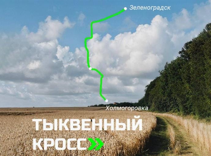 «Тыквенный кросс»